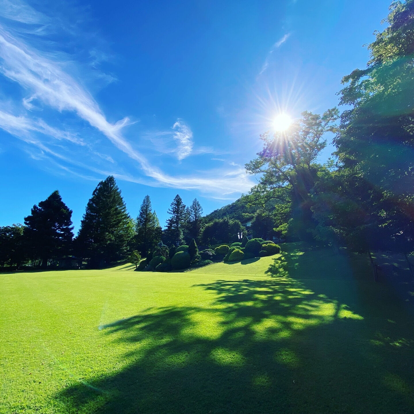 こんにちは🏠✨三連休はゆっくりできましたか？大阪でリフォーム