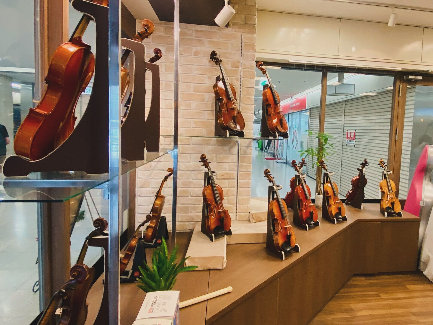 【弦楽器店🎻】のお仕事のご依頼を頂きました✨