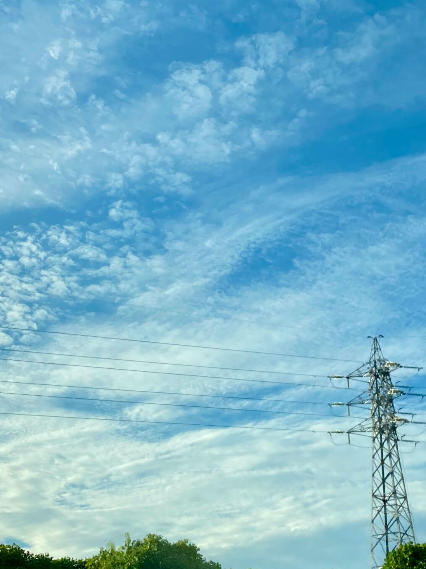 🍂秋空とともに、暮らしをアップデート☁️