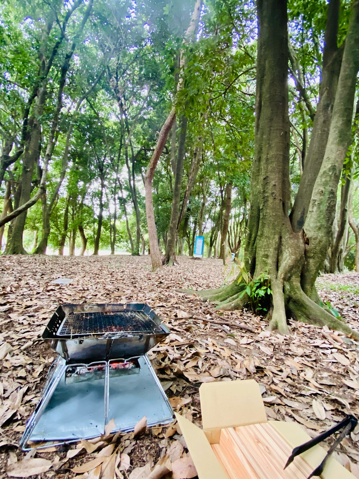 🌳バーベキュー日和🍖