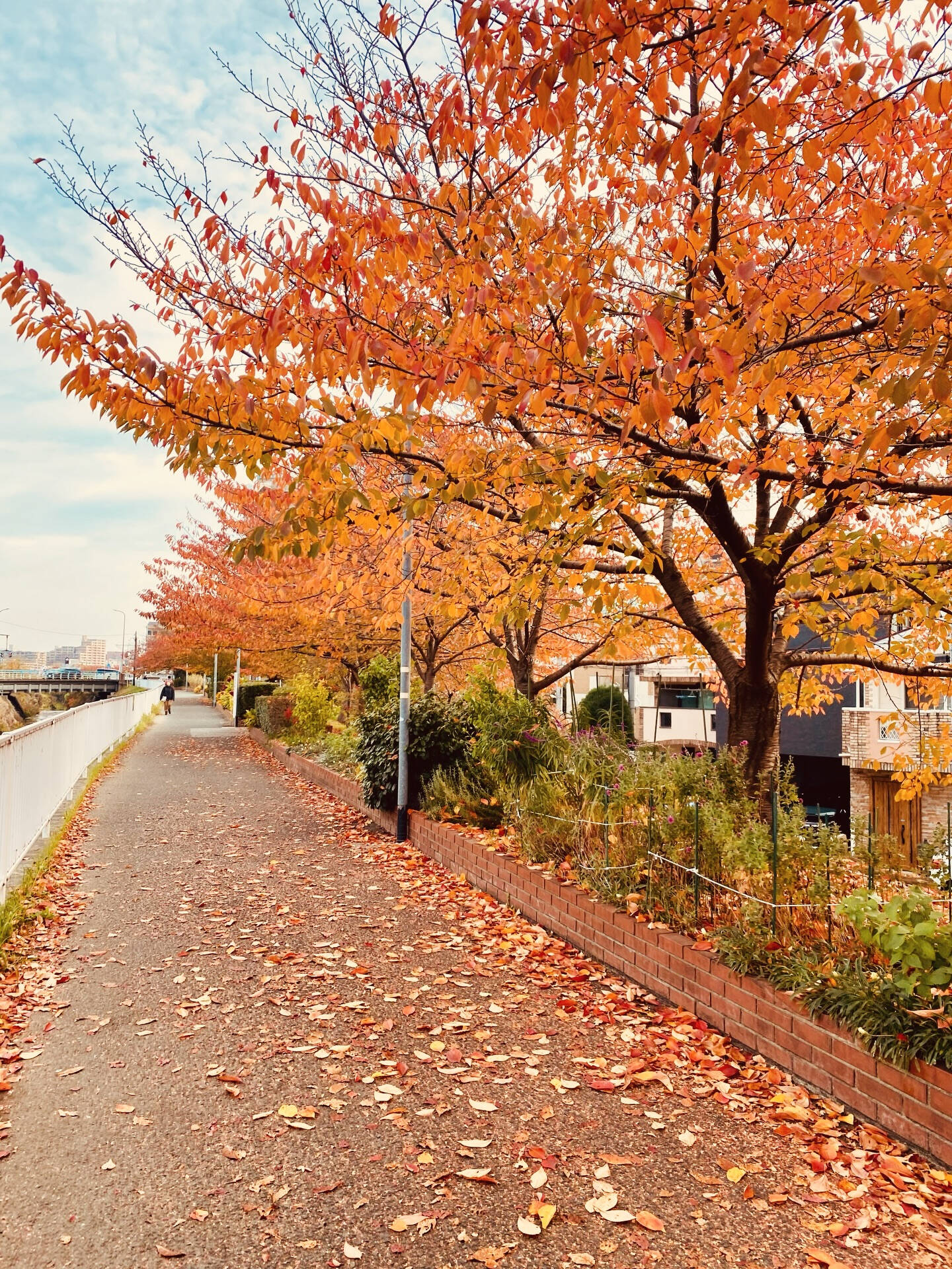 家時間🍁趣味を続けやすくする工夫