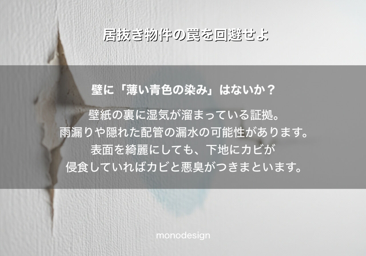 【居抜き物件の罠】内装のプロが教える「建物の寿命」の見極め方。半年後に後悔しないための全知識