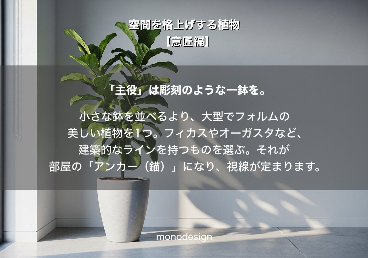 観葉植物【意匠編】「視覚的アンカー」で空間を格上げする配置術