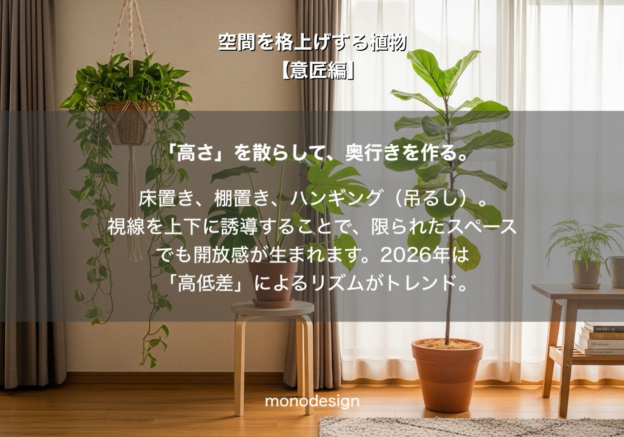 観葉植物【意匠編】「視覚的アンカー」で空間を格上げする配置術
