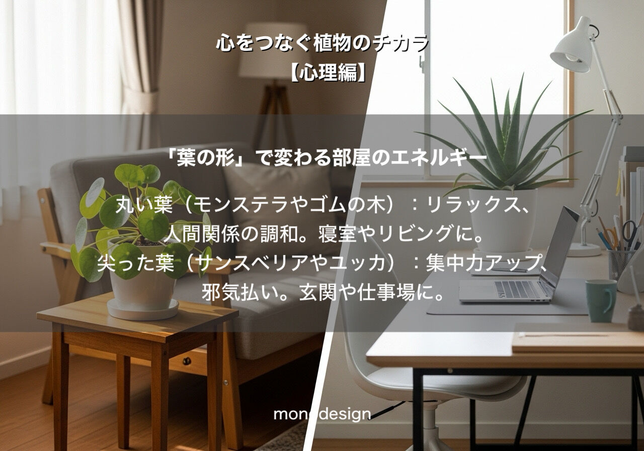 観葉植物【心理編】「心理的安らぎ」をデザインする。風水と最新バイオフィリック