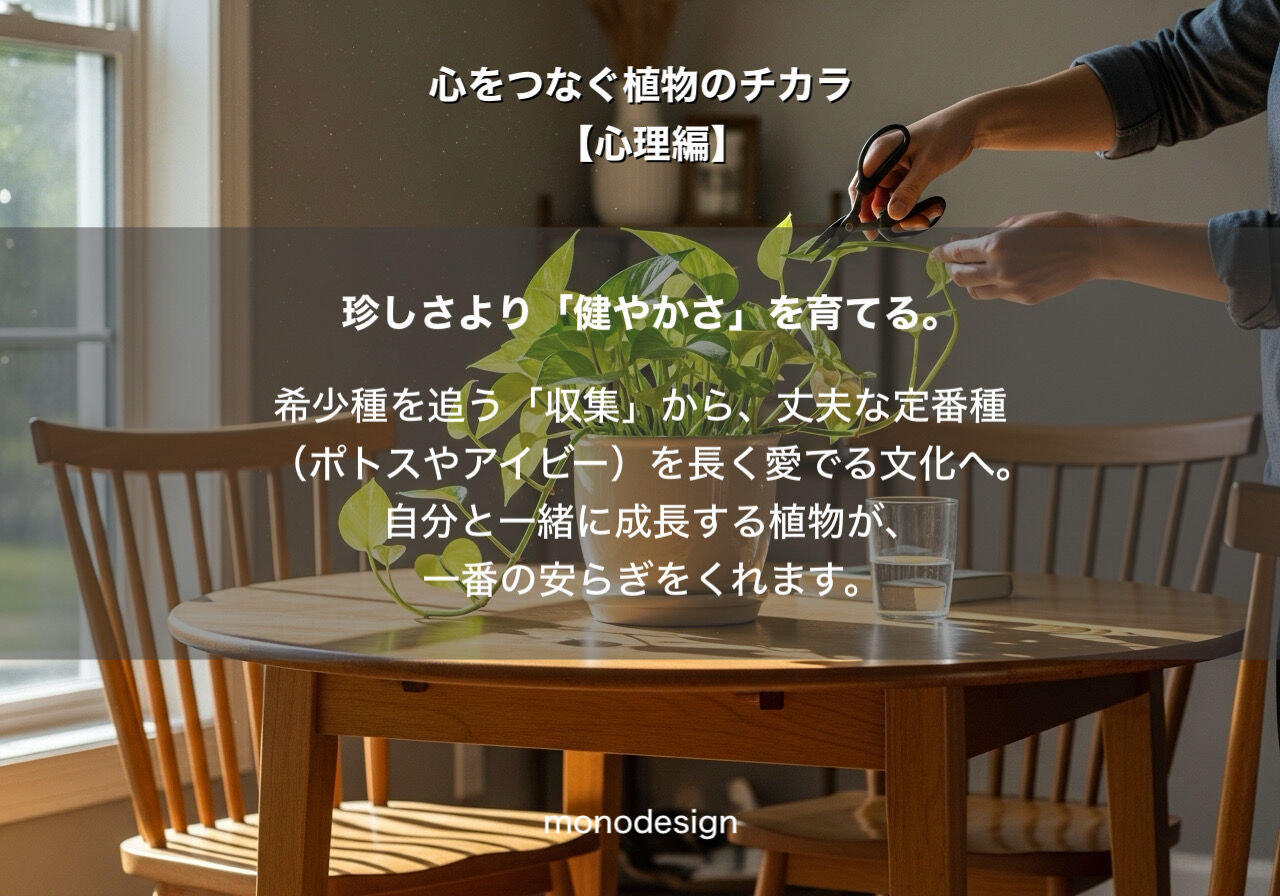 観葉植物【心理編】「心理的安らぎ」をデザインする。風水と最新バイオフィリック