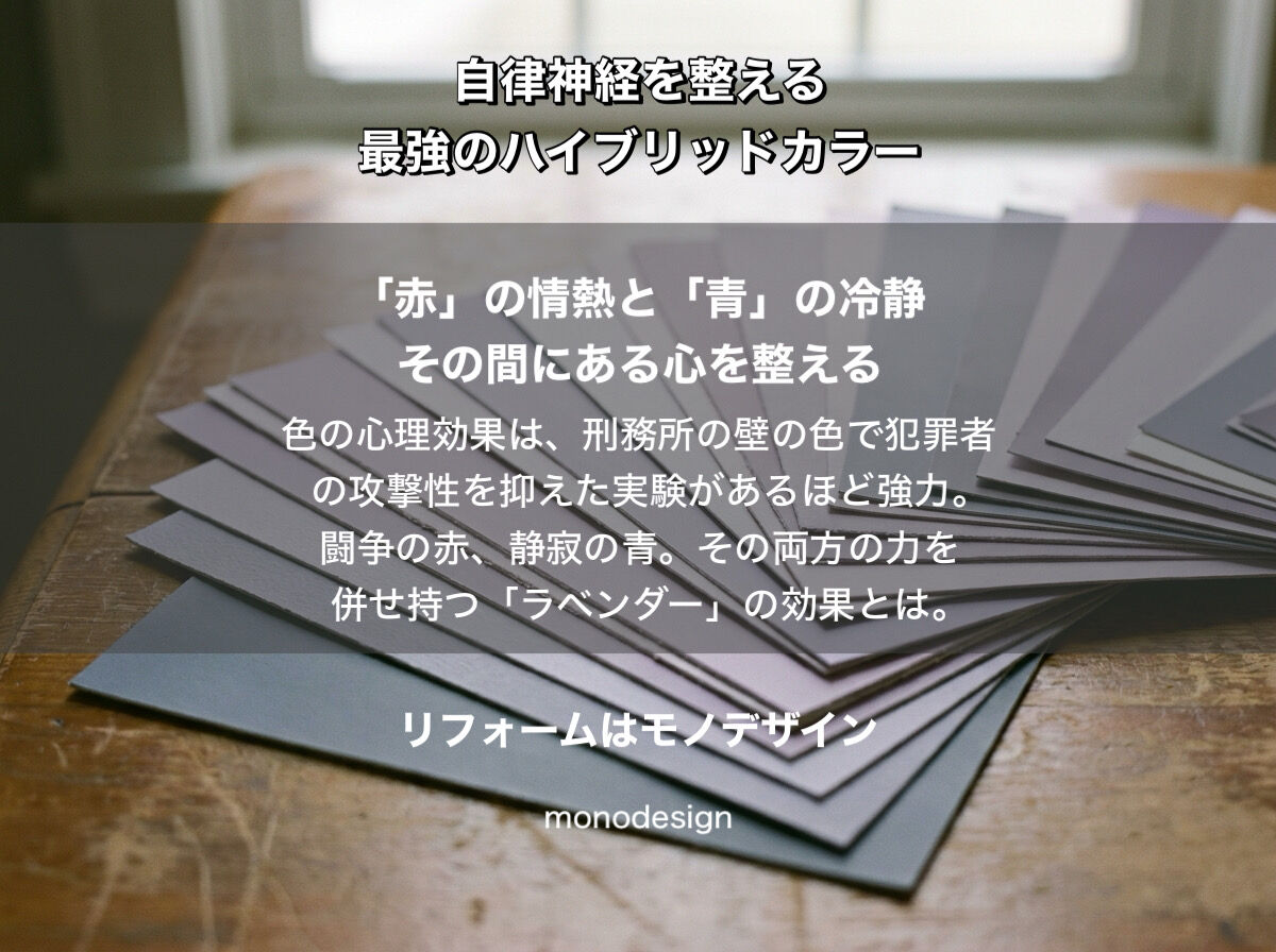 「赤」の闘争と「青」の静寂。その間にある、心を守る色。ラベンダーがもたらす「色彩リフォーム」の科学🌿