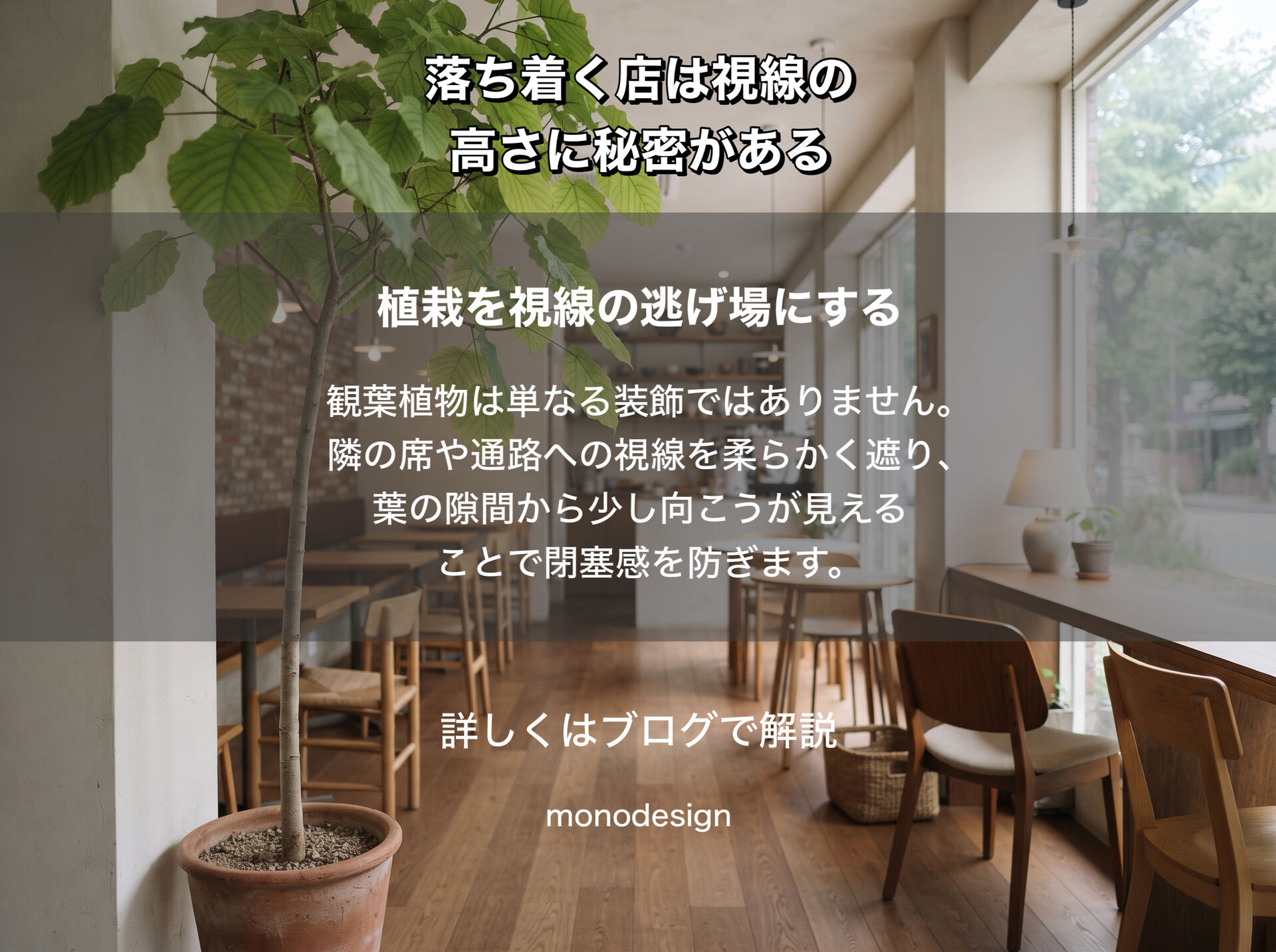 “何となく落ち着く店”には、視線の高さに秘密がある？｜目線から考える店舗デザインと空間設計   