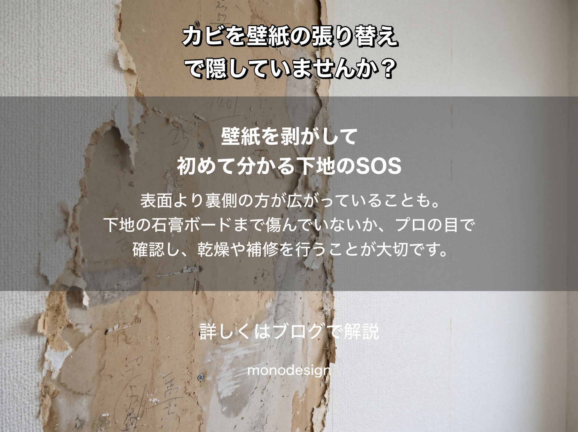 壁のカビを塗装や壁紙の張り替えで隠していませんか？再発を防ぐ内装リフォームの基本と失敗しない業者の選び方